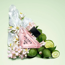 s2799286-av-5-zoom.jpg.webp