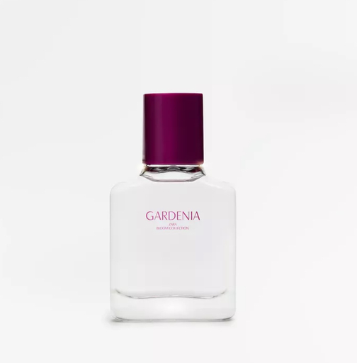 Zara GARDENIA EDP perfume 